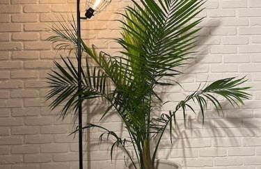 10 guest Ski Chalet Pools Golf Ski Hike - Foto 29