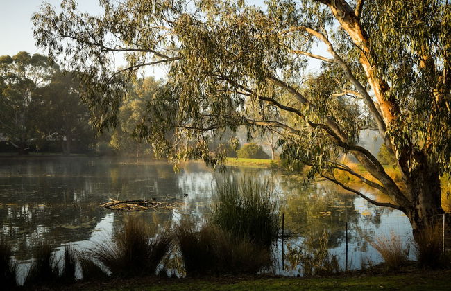 The Burrow At Wombat Bend - Foto 35