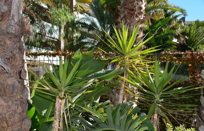 Apartamento Aqquaria 1 Terraza - Foto 25