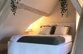 Charmant Duplex - Parking inclus - Au bord de l'Eure - Foto 15