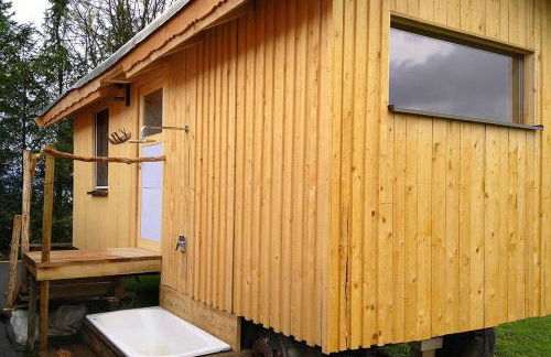 Fembacher Alm - Photo 60