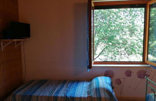 Agriturismo bio Apipoli - Foto 31