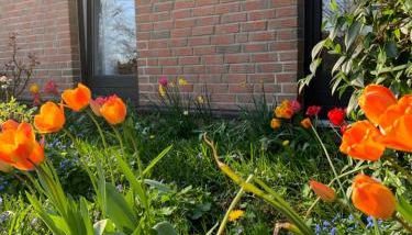 Zwei Zimmer Natur und Luxus Ferienwohnung mit Garten - Foto 3, Garden, Garden view