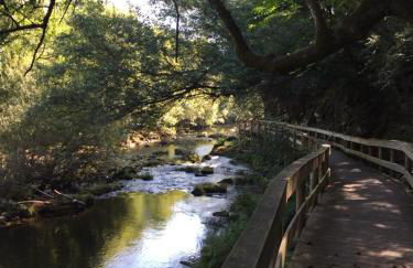 Casa dos Limões - Foto 33