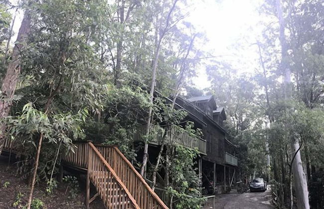 Barrington Wilderness Cedar Lodge Accommodation - Foto 19