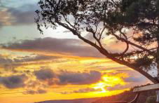 Haus Angermann - Foto 62