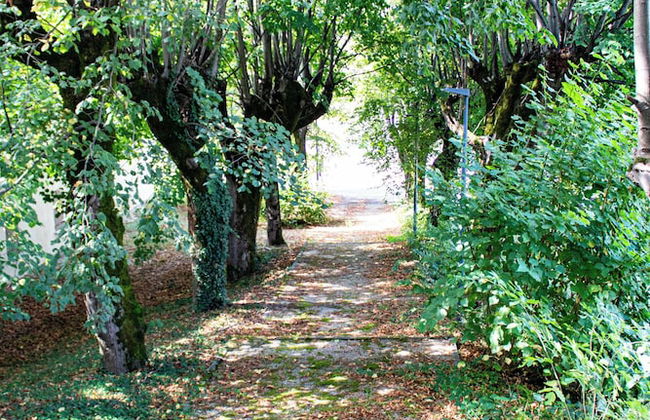 Tempologis - Chateau de la Rochette - Foto 74