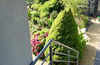 Lawendowe Studio - Foto 41