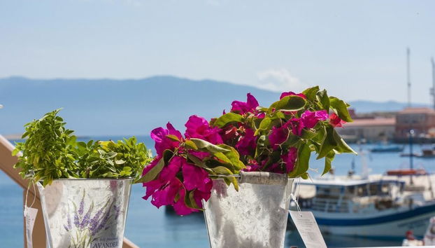 Spitakia Halki - Foto 2, Imagen principal