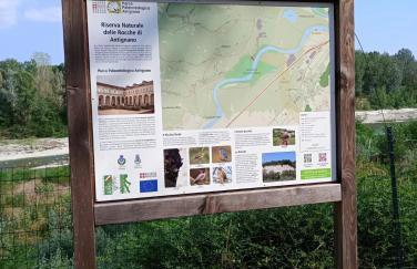 Casa delle foglie sussurranti - Foto 22