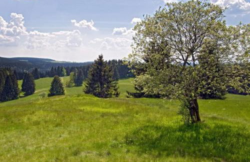 Ferienhaus Wurzelbergblick - Foto 18