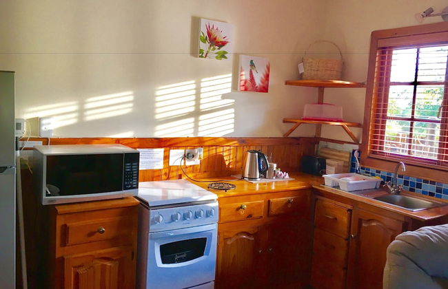 Forest Edge - Foto 18