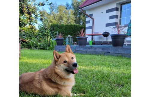 dom na gwarnej - Foto 7