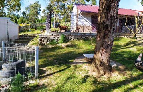 Herdade da Hera - Foto 28