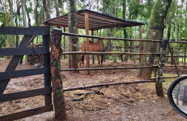 Exclusivo Haras Marilu! - Foto 50