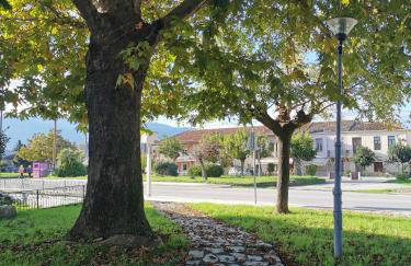 Spring Harmony Trikala Pigi - Foto 25