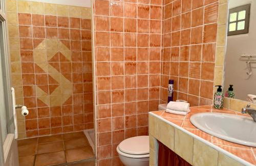 Mas de la Sacristière - Photo 43