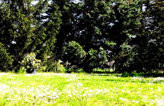 Agriturismo Corte Trincerone - Foto 41