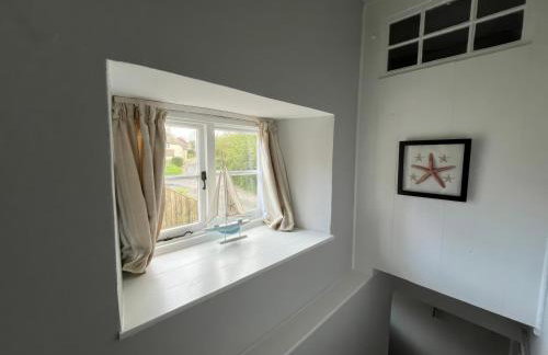 Little Ivy - Photo 17