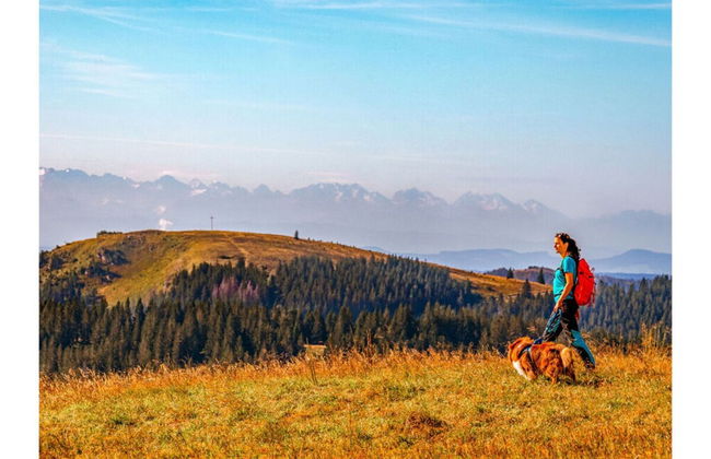 Appartementencomplex Titisee - Foto 19