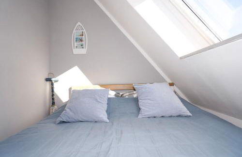 Kleiner Seestern - Foto 16