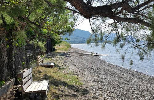 Beachfront cottage house in olive grove - Foto 17