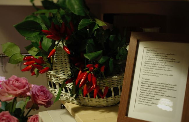 Vatican Holiday - Photo 40