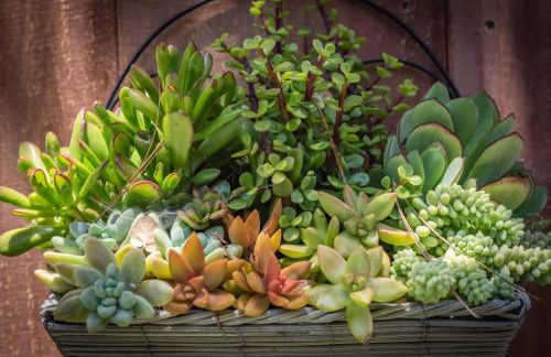 Moonglow Cottage - Foto 18