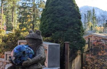 Little Bear's Bungalow; Log Cabin w/Mountain views - Foto 4