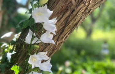 Gut Kalkhäuschen, ein Ort mit Geschichte - Foto 29