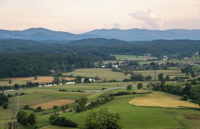 Vineyard cottage Jelenov hrib - Foto 24