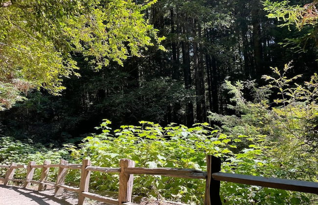 Ocean Front Cabin 17 Jacuzzi Remarkable Views - Foto 41