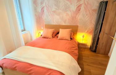 Le salon des voyageurs - Au Cœur de DOLE - Parking GRATUIT à proximité - Foto 10