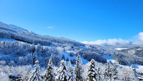 Lumineux 2 pièces vue montagne au pied des pistes avec parking privé - Foto 3