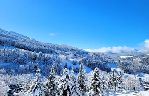 Lumineux 2 pièces vue montagne au pied des pistes avec parking privé - Foto 3