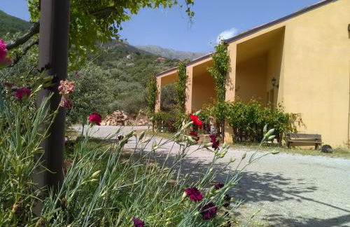 Villaggio dei Balocchi - Foto 29