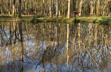 The Barn - Quiet Location - Foto 25