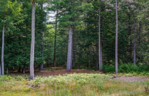 Pet-Friendly Conway Cabin about 5 to Campton Mountain! - Foto 29