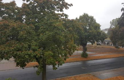 Ferienwohnung Bleicherode - Foto 22