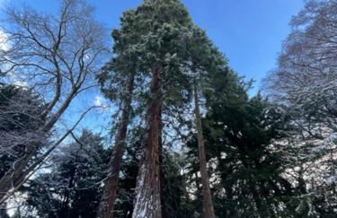 Limefield Mansion House - Foto 33