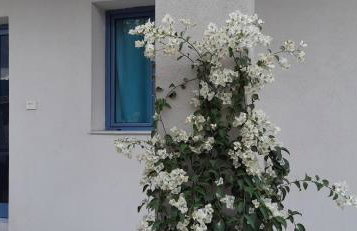 Nikolas Apartments - Foto 41