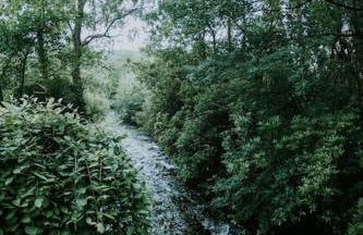 River Side Cabin with Hot tub Snowdonia - Foto 12