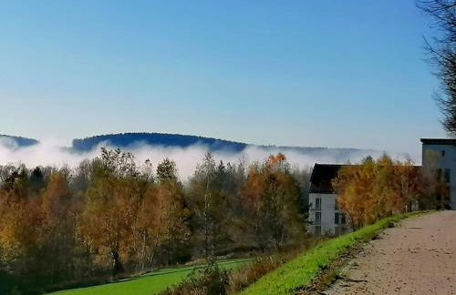 Appartement-Hotel Sibyllenbad - Foto 8