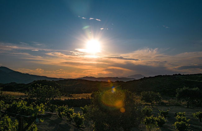 Nino's Country House - Foto 31