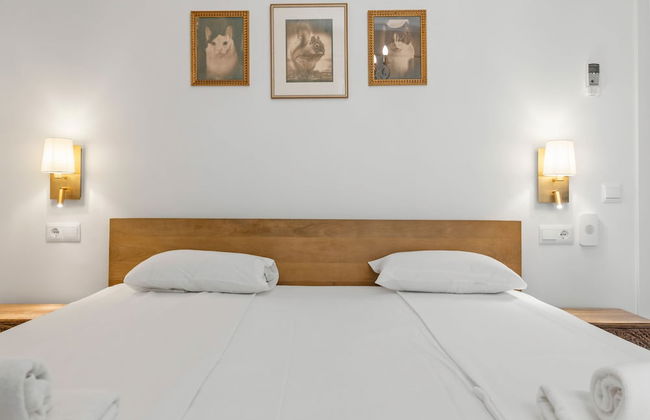 Classic Urban Flat in Malaga City Center - Mal05 - Photo 22