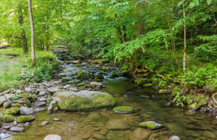 Tridents Creek by American Patriot Getaways - Foto 34