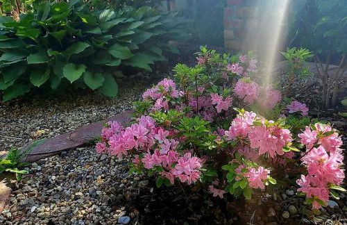 Haus am Walde - Foto 28