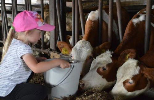 Ferienhof Altmann - Foto 38