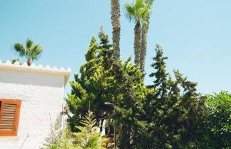 Casa del Canto, Calapanizo - Foto 53