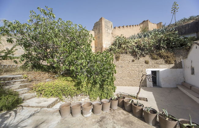 Cuevas del Cohetero - Sacromonte - Foto 22